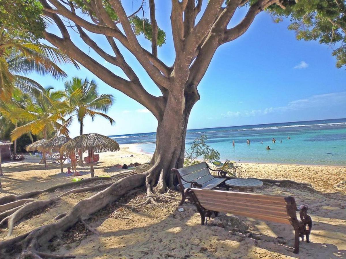 Villa Creole Domaine Prive De L'Anse Des Rochers 圣弗朗索瓦 外观 照片